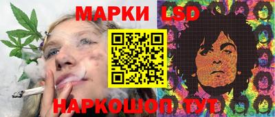 индика Боровичи